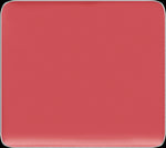 Labiales Freedom System 26